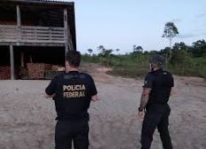 Imagem de PF desmonta esquema de extração ilegal de madeira na Amazônia
