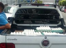 Imagem de Bahia bate recorde na produção de ovos no segundo trimestre do ano