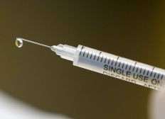 Imagem de Reino Unido pode disponibilizar vacina contra covid-19 antes do Natal
