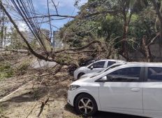 Imagem de Árvore cai em seis carros na Avenida Juracy Magalhães, em Salvador