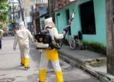 Imagem de Governo promete vistoriar 100% das casas contra 'Aedes'