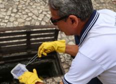 Imagem de Agentes de endemias vão realizar ação especial contra Aedes em Salvador
