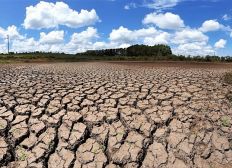 Imagem de ONU alerta que seca pode ser "a próxima pandemia"