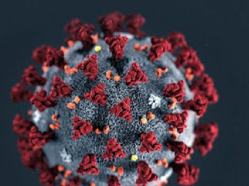 Imagem de Nova variante do novo coronavírus é identificada no estado do Rio