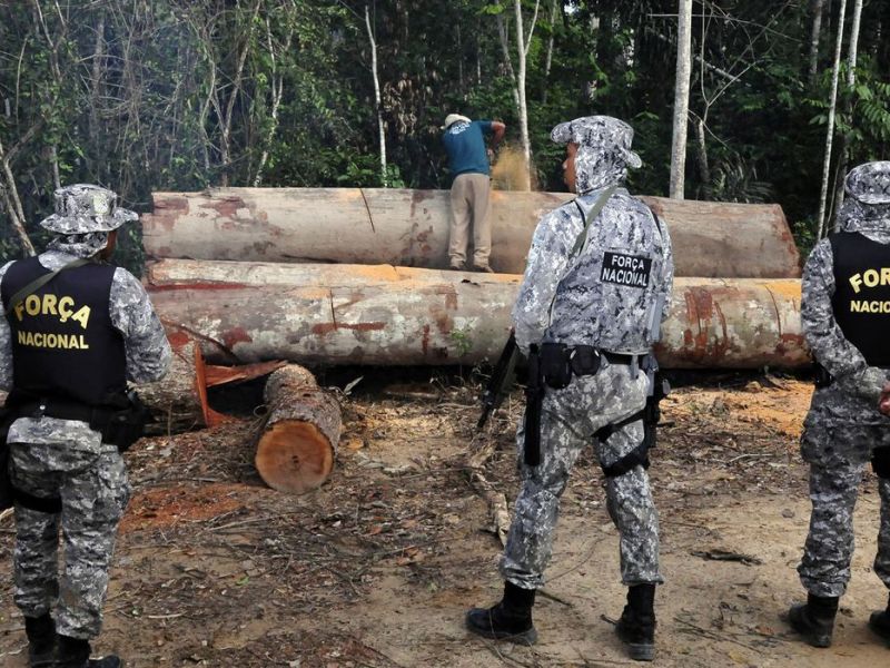 Imagem de Governo autoriza Forças Armadas a combater desmatamento em Mato Grosso