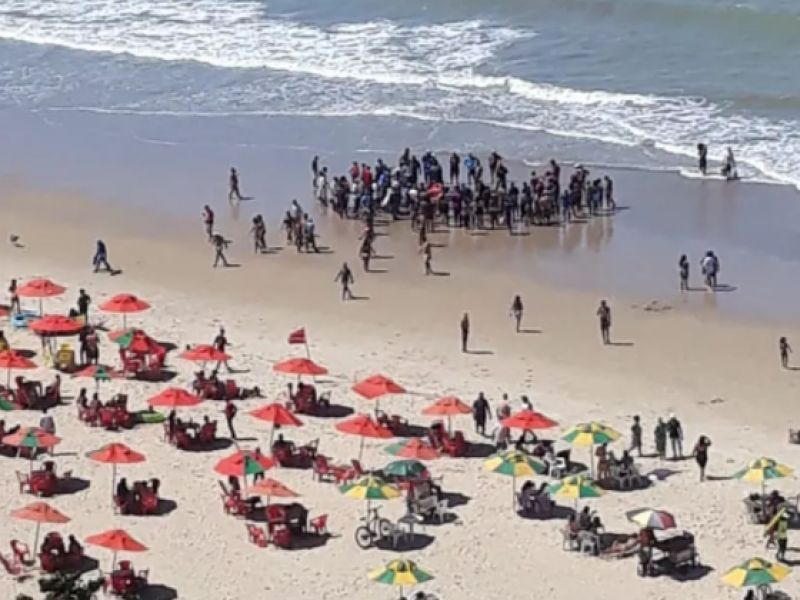 Imagem de Homem é ferido por ataque de tubarão em praia de Recife