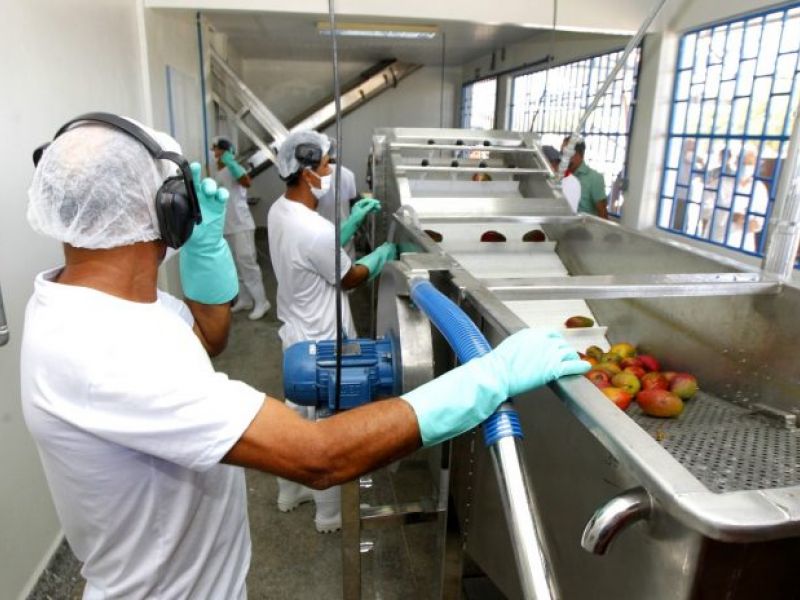 Imagem de Sobradinho recebe agroindústria para processamento de duas mil toneladas de frutas por ano