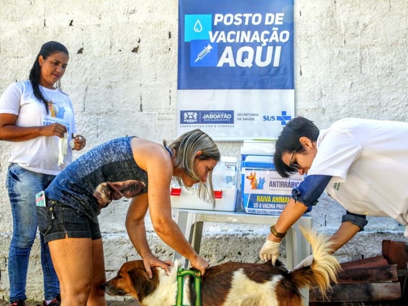 Imagem de Confira postos fixos da Campanha de vacinação antirrábica em Salvador