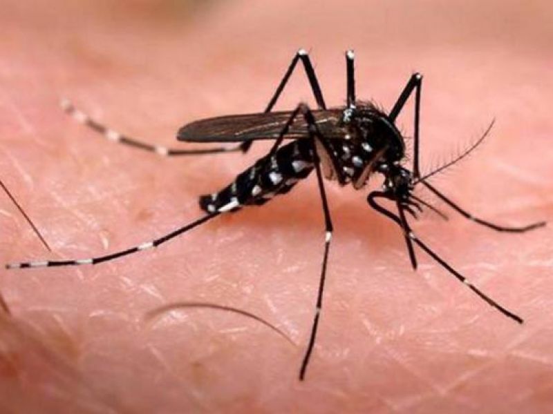Imagem de Prefeitura prossegue com mutirões de combate ao Aedes em Pernambués nesta quinta (7)