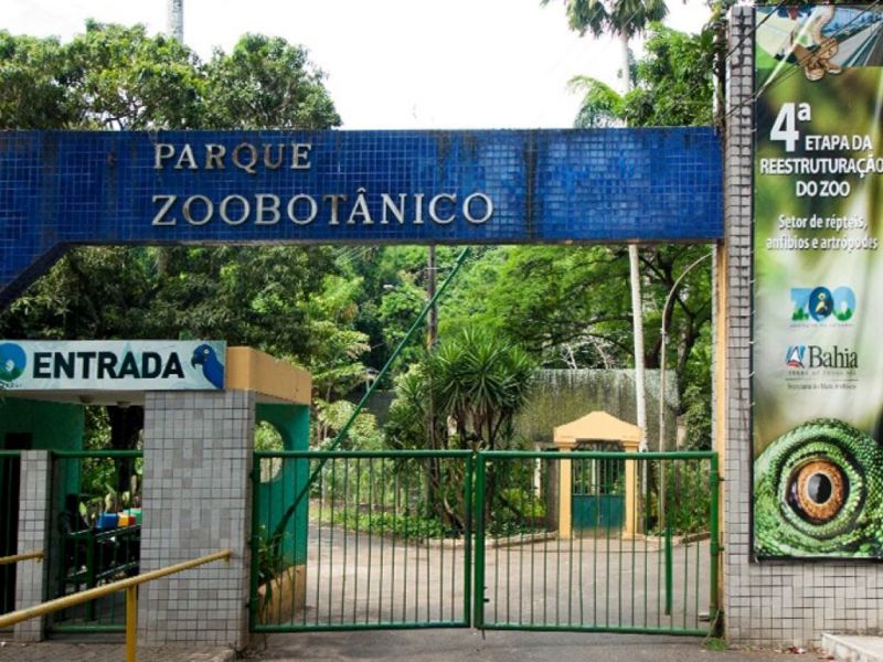 Imagem de Zoológico de Salvador volta a funcionar nesta terça (19)