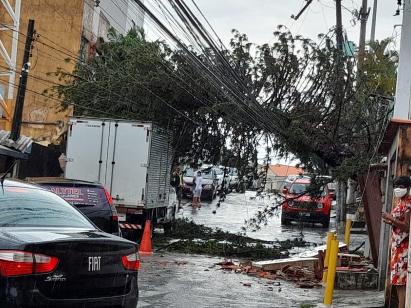 Imagem de Chuva forte causa estragos em diversos pontos de Salvador; Confira balanço