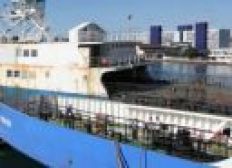 Imagem de Ferries colidem pela segunda vez em menos de um mês em São Joaquim