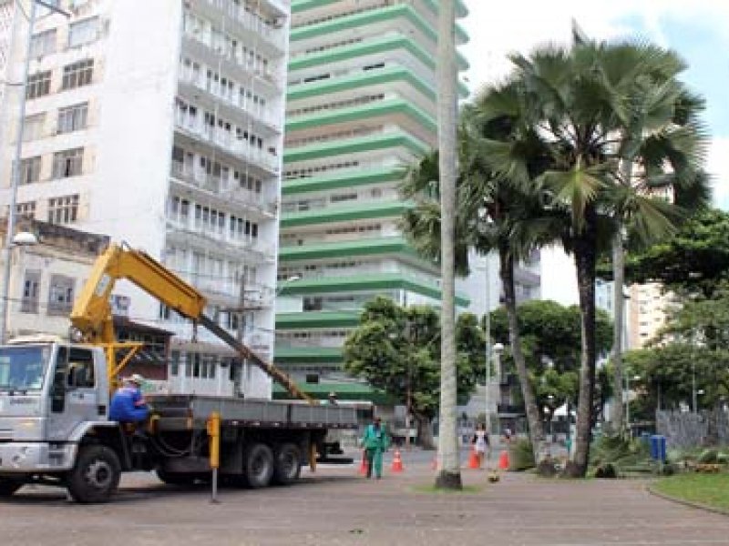 Imagem de Salvador realizou cerca de 30 mil ações de poda de árvores em 2021
