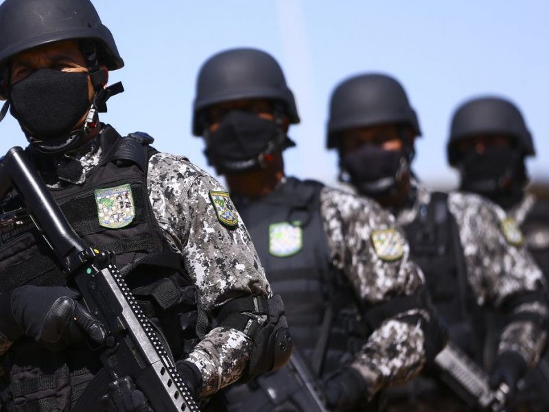 Imagem de Governo prorroga presença da Força Nacional de Segurança na Amazônia