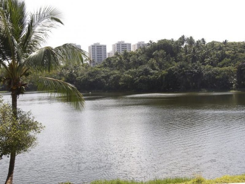 Imagem de Bahia tem nove PPPs e 40 concessões e prevê novos contratos em 2022