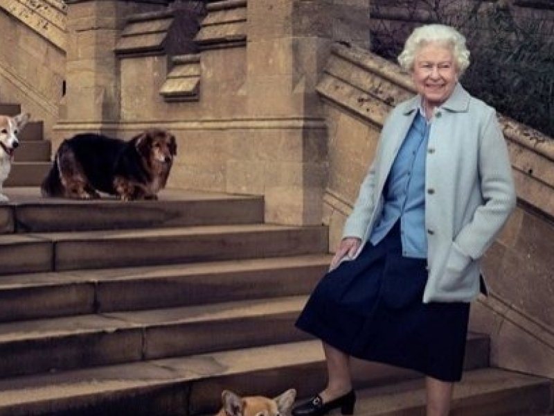 Imagem de Rainha Elizabeth II lança perfume para cachorros
