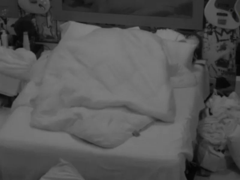 Imagem de  BBB 22: Após festa, Eliezer e Natália fazem sexo pela segunda vez; assista