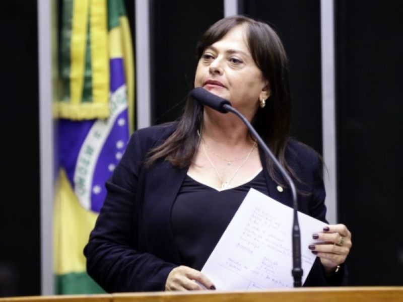 Imagem de Presidente da Comissão de Cultura na Câmara critica Bolsonaro por veto à Lei Paulo Gustavo
