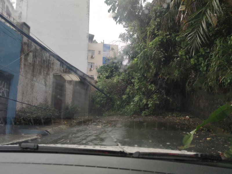 Imagem de Árvore caída bloqueia rua na Barra