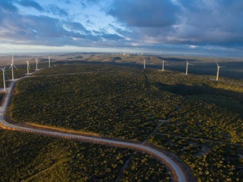 Imagem de Bahia retoma liderança nacional na geração de energia eólica, diz SDE