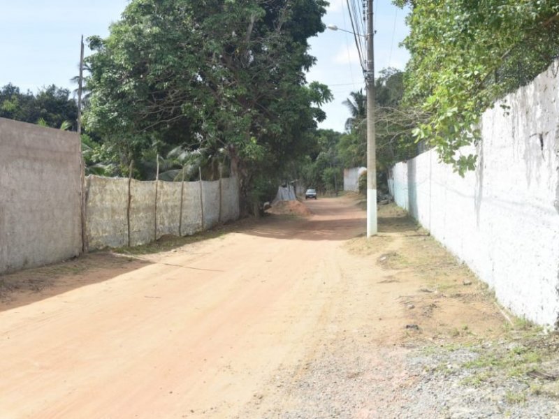 Imagem de Prefeitura inicia construção da Estrada do Cassange